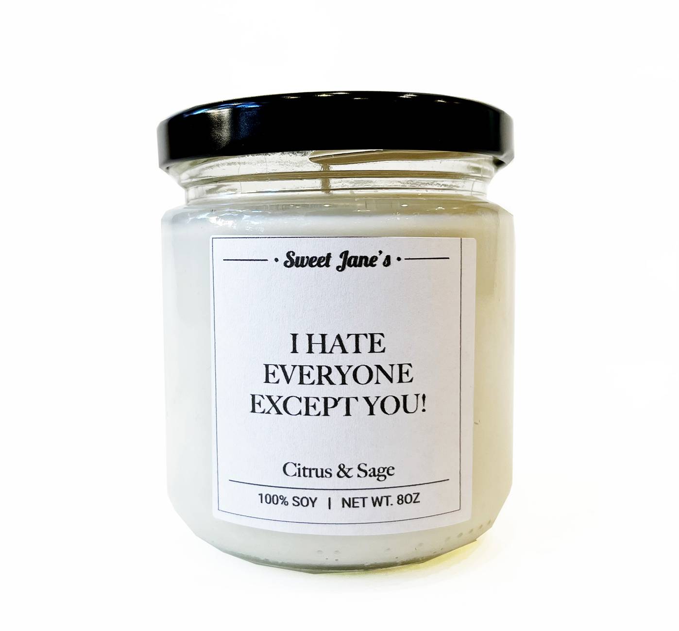 I Hate Everyone Except You Candle